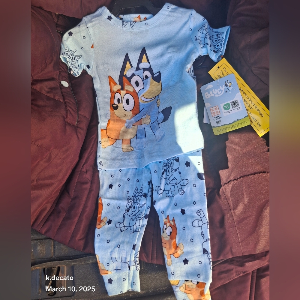 Toddler Bluey Pajamas